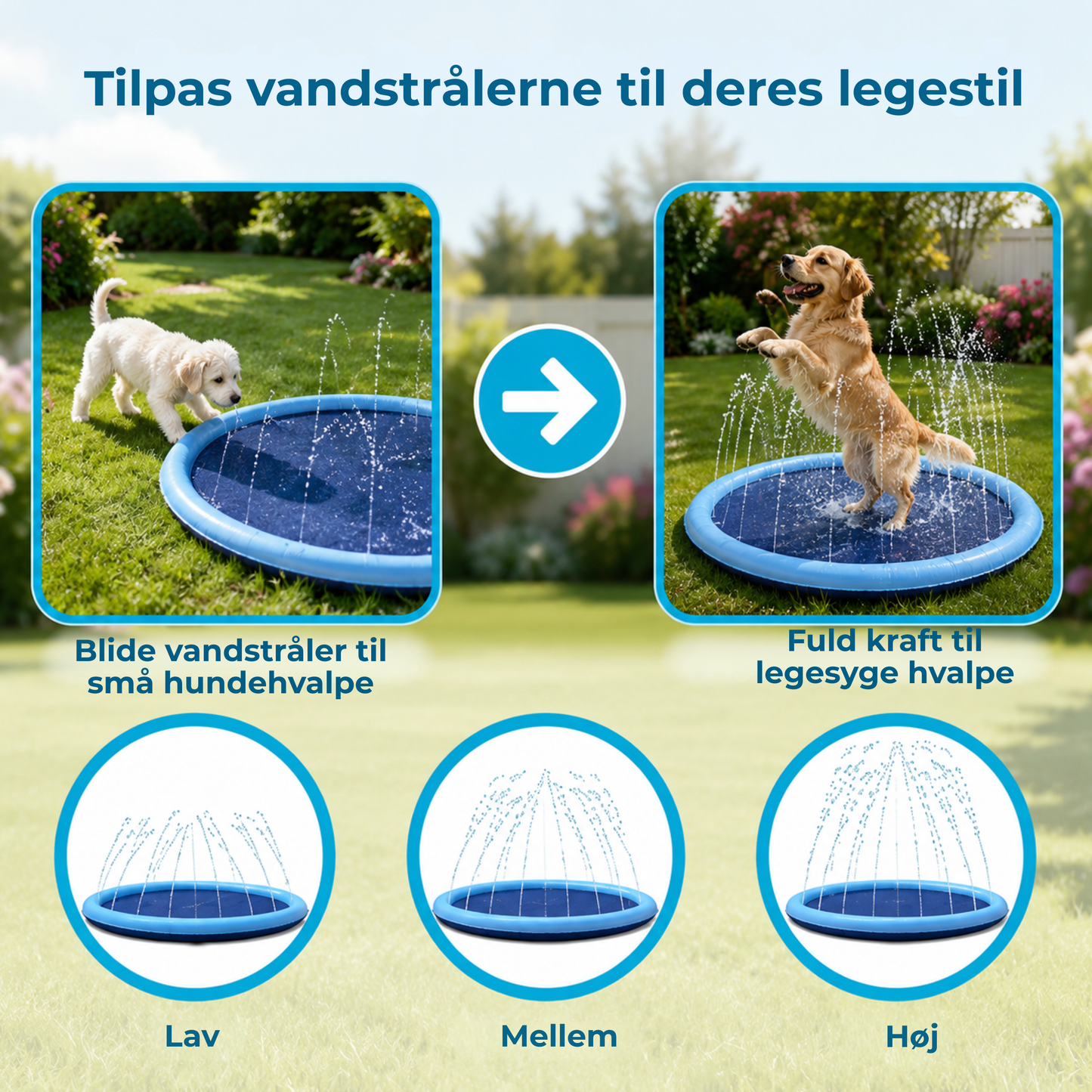 AquaPaws™ | Forvandl haven til din hunds foretrukne vandland