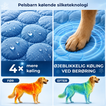 NordKøl™ |Hold din hund kølig, rolig og veltilpas – selv på de varmeste dage