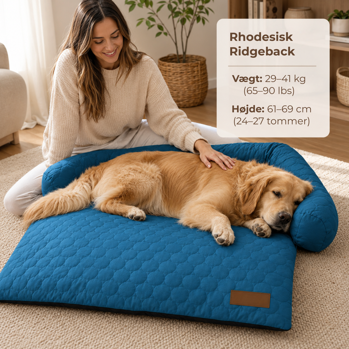 NordKøl™ |Hold din hund kølig, rolig og veltilpas – selv på de varmeste dage