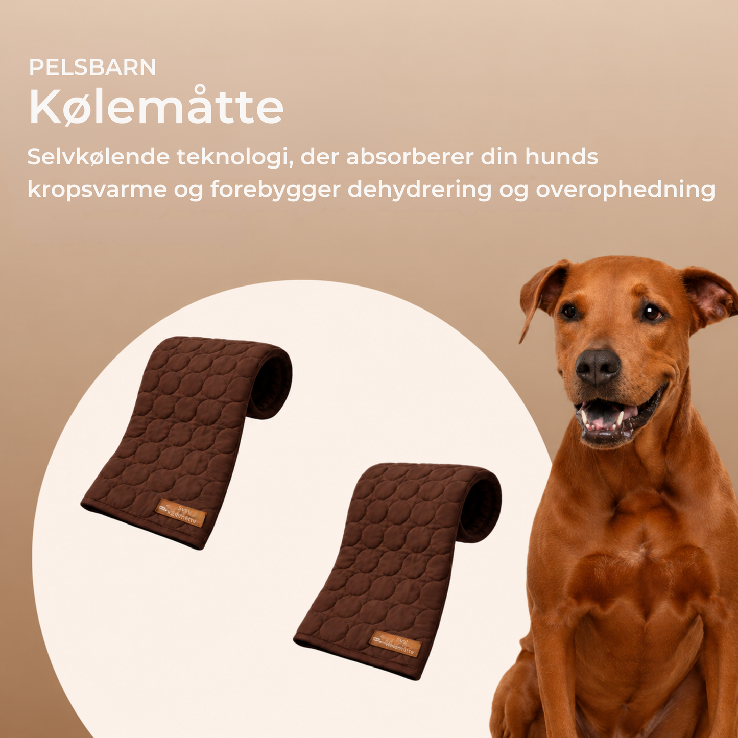 Sval Kølemåtte | Giv din hund et køligt fristed hele sommeren | 1+1 GRATIS