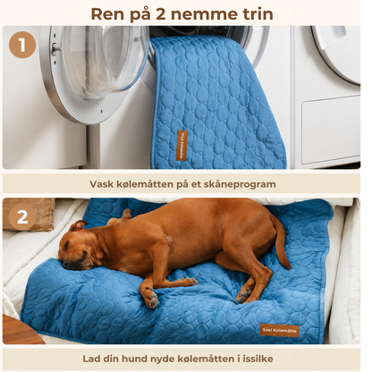 Sval Kølemåtte | Giv din hund et køligt fristed hele sommeren | 1+1 GRATIS
