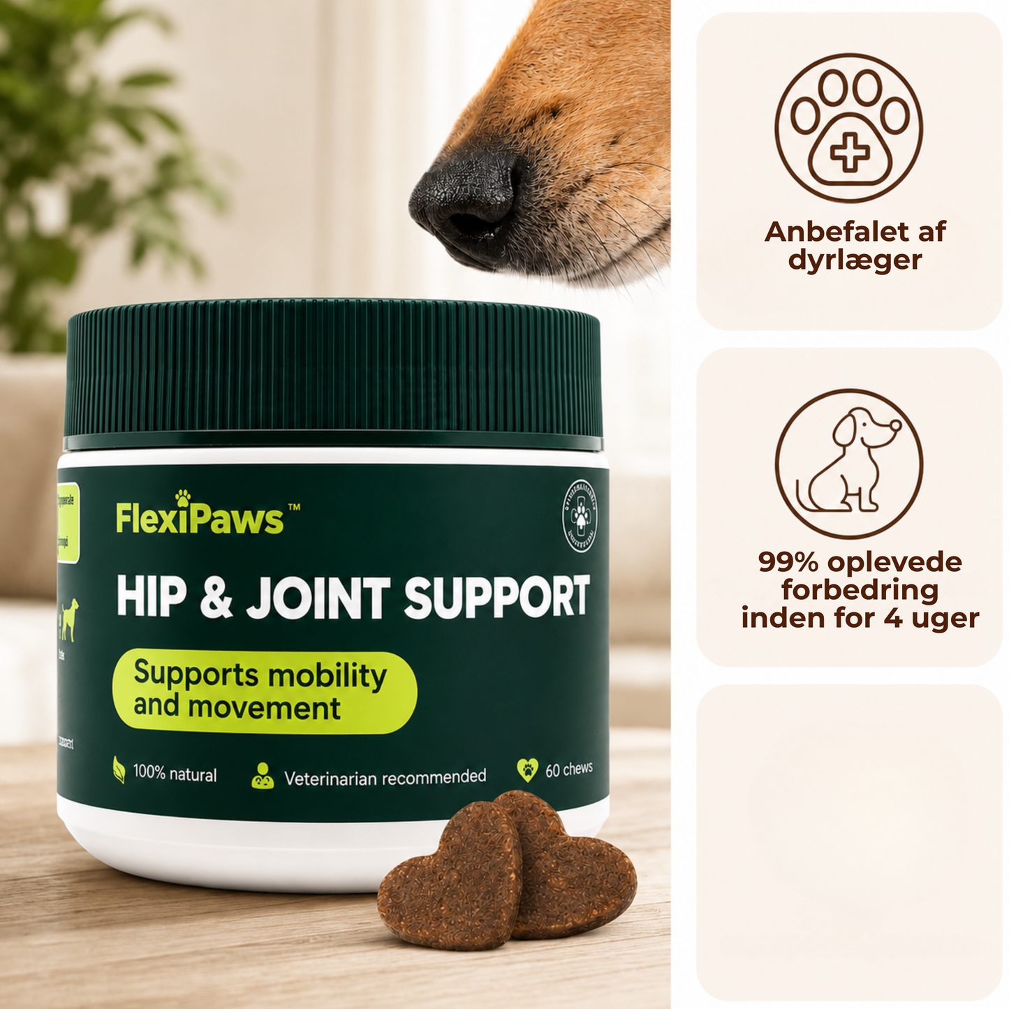 FlexiPaws™ | Hjælp din hund med at bevæge sig frit, komfortabelt og glad igen