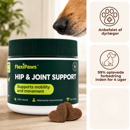 FlexiPaws™ | Hjælp din hund med at bevæge sig frit, komfortabelt og glad igen
