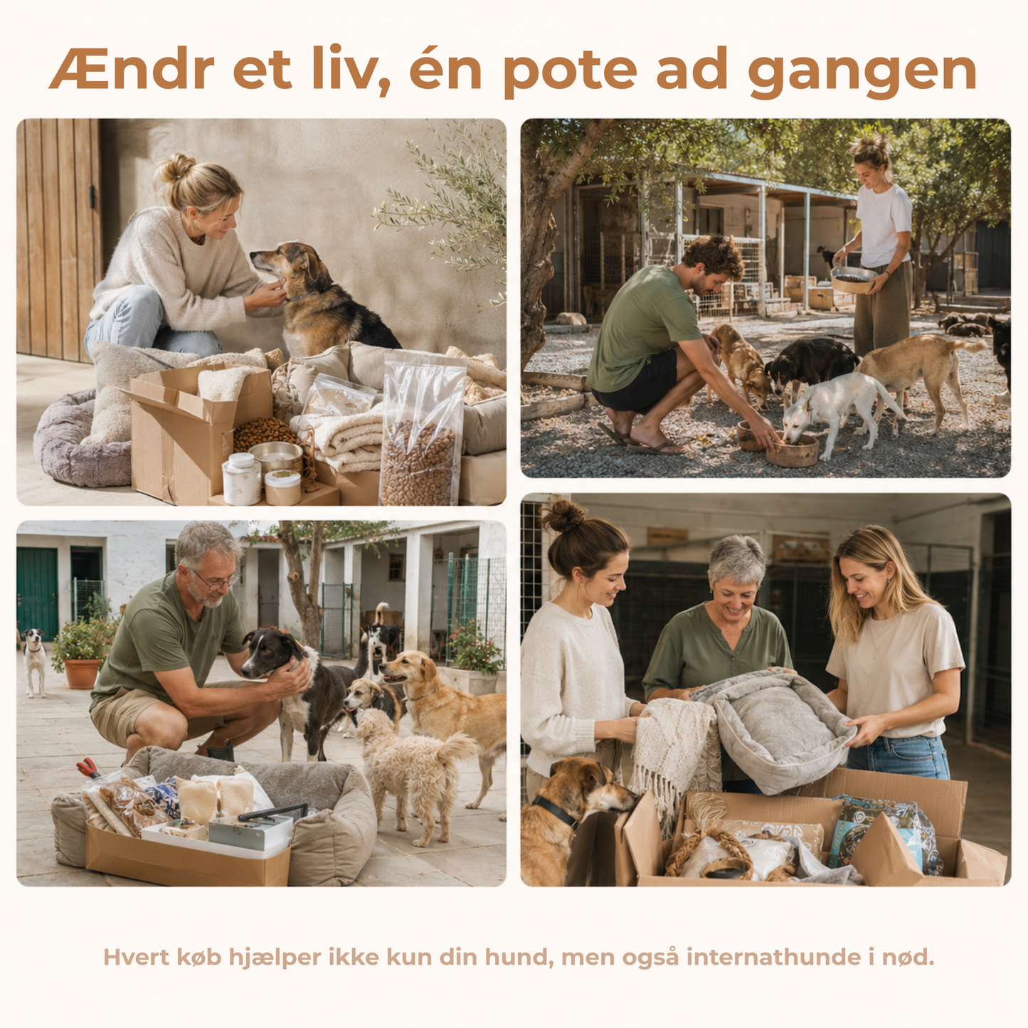 Sval Kølemåtte | Giv din hund et køligt fristed hele sommeren | 1+1 GRATIS