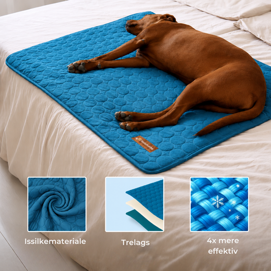 Sval Kølemåtte | Giv din hund et køligt fristed hele sommeren | 1+1 GRATIS