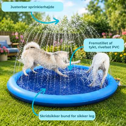 AquaPaws™ | Forvandl haven til din hunds foretrukne vandland