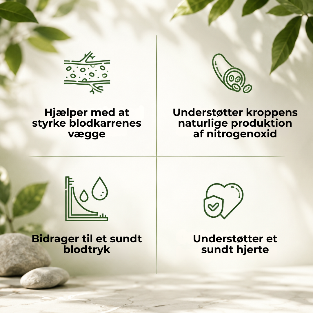 HjerteBalance™ | Støt dit hjerte – hver eneste dag