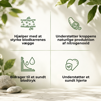 HjerteBalance™ | Støt dit hjerte – hver eneste dag