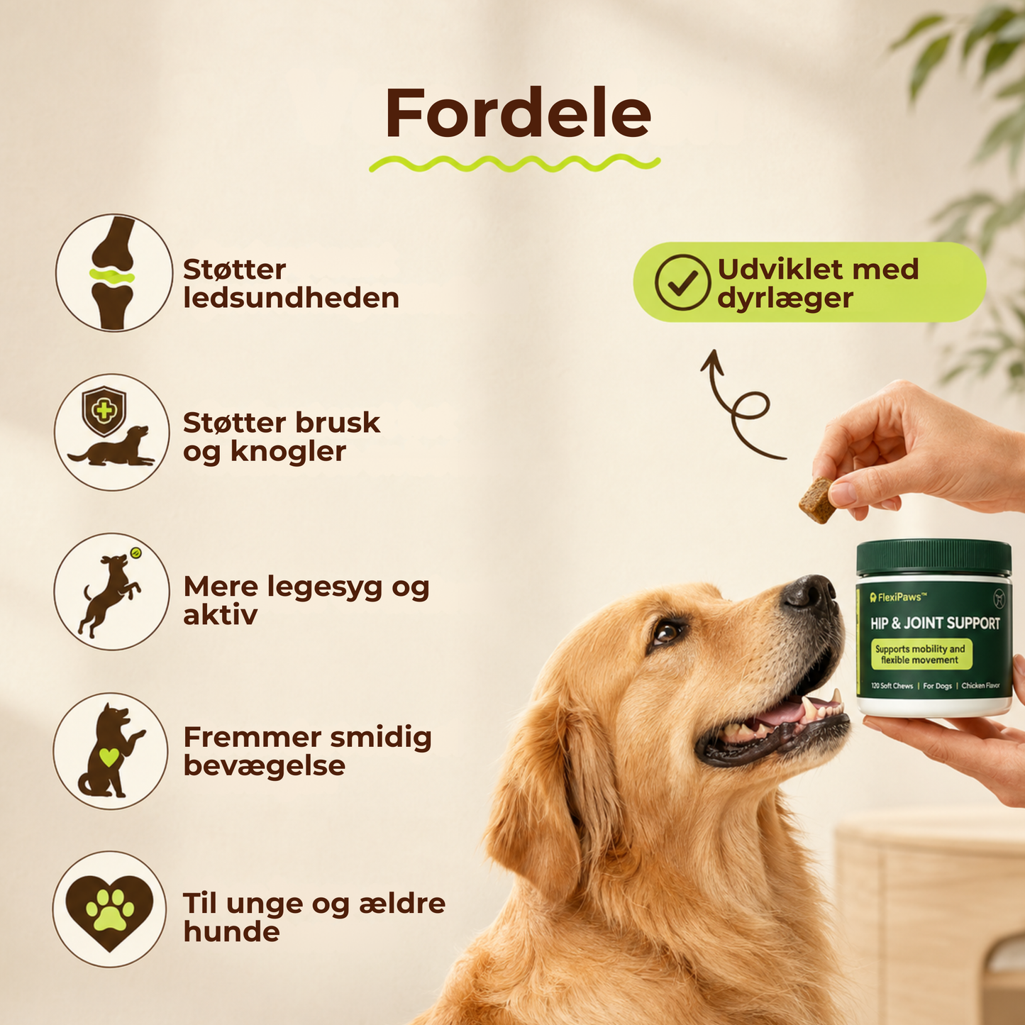 FlexiPaws™ | Hjælp din hund med at bevæge sig frit, komfortabelt og glad igen