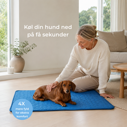 Sval Kølemåtte | Giv din hund et køligt fristed hele sommeren | 1+1 GRATIS