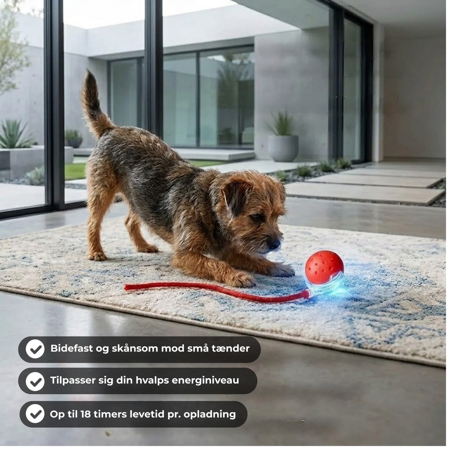 PawLaunch™ | Gør kedsomhed til en spændende jagt, som din hund ikke kan modstå!