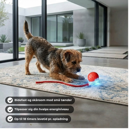 PawLaunch™ | Gør kedsomhed til en spændende jagt, som din hund ikke kan modstå!