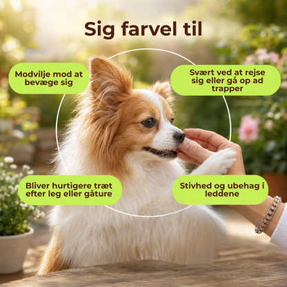 FlexiPaws™ | Hjælp din hund med at bevæge sig frit, komfortabelt og glad igen