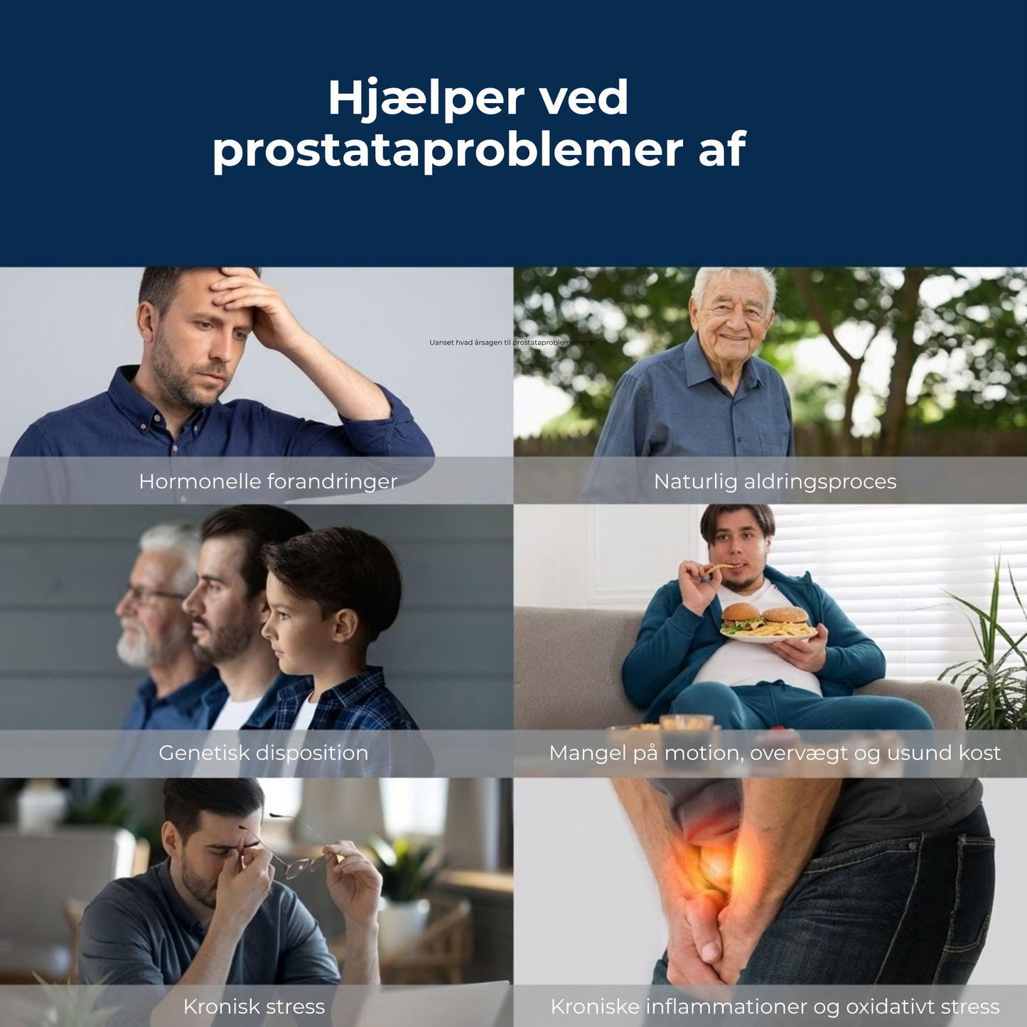 Prostanova | Få Mere Ro i Hverdagen med Naturlig Prostatastøtte