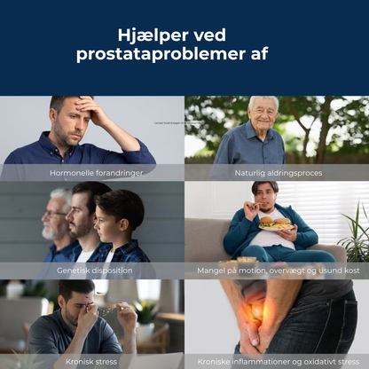 Prostanova | Få Mere Ro i Hverdagen med Naturlig Prostatastøtte