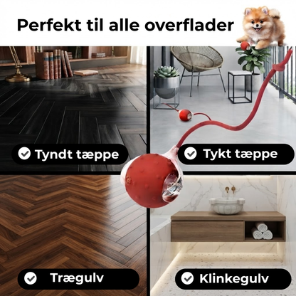 PawLaunch™ | Gør kedsomhed til en spændende jagt, som din hund ikke kan modstå!