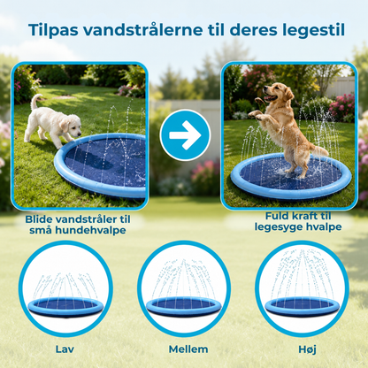 AquaPaws™ | Forvandl haven til din hunds foretrukne vandland