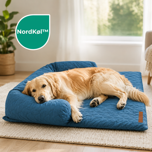 NordKøl™ |Hold din hund kølig, rolig og veltilpas – selv på de varmeste dage