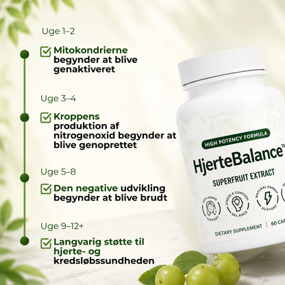HjerteBalance™ | Støt dit hjerte – hver eneste dag
