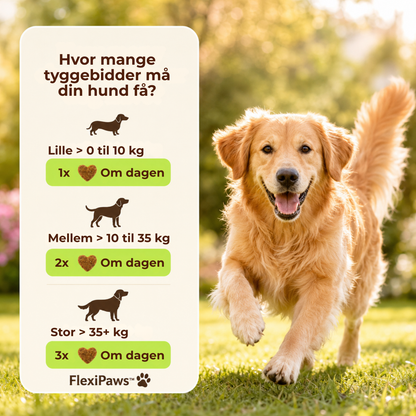 FlexiPaws™ | Hjælp din hund med at bevæge sig frit, komfortabelt og glad igen