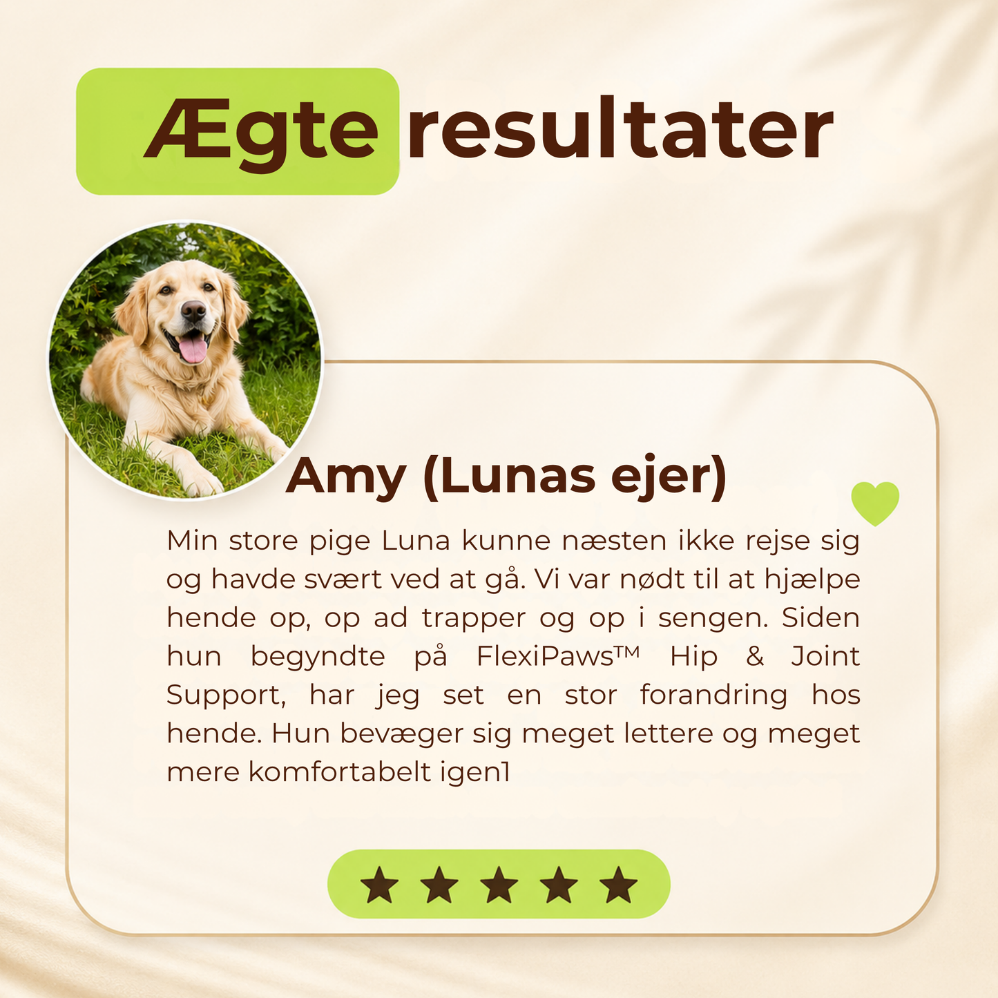 FlexiPaws™ | Hjælp din hund med at bevæge sig frit, komfortabelt og glad igen
