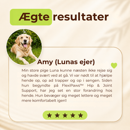FlexiPaws™ | Hjælp din hund med at bevæge sig frit, komfortabelt og glad igen