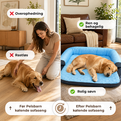 NordKøl™ |Hold din hund kølig, rolig og veltilpas – selv på de varmeste dage
