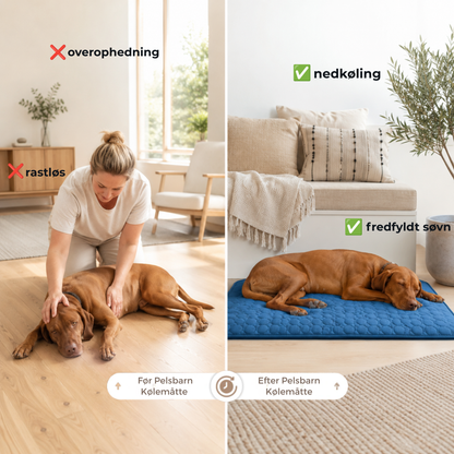 Sval Kølemåtte | Giv din hund et køligt fristed hele sommeren | 1+1 GRATIS