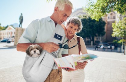 Favn Pet-slynge