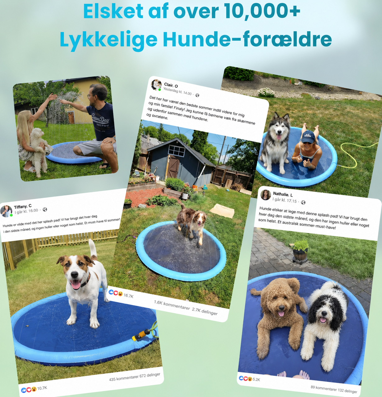 AquaPaws™ | Forvandl haven til din hunds foretrukne vandland