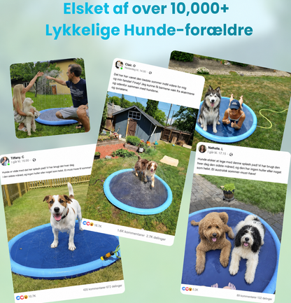 AquaPaws™ | Forvandl haven til din hunds foretrukne vandland