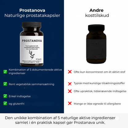 Prostanova | Få Mere Ro i Hverdagen med Naturlig Prostatastøtte