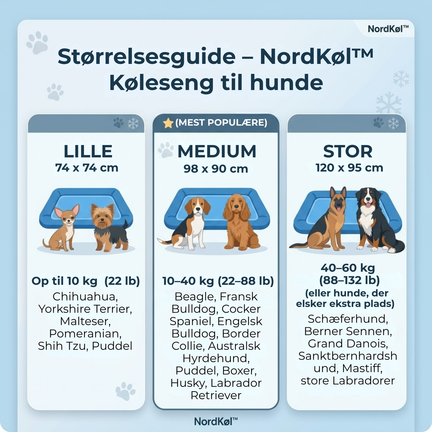 NordKøl™ |Hold din hund kølig, rolig og veltilpas – selv på de varmeste dage