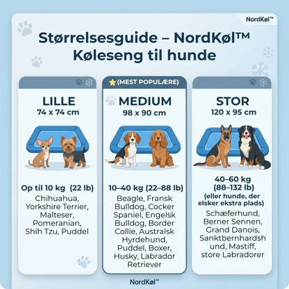 NordKøl™ |Hold din hund kølig, rolig og veltilpas – selv på de varmeste dage